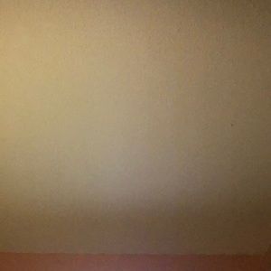 Meet your Posher, Corinna